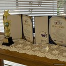 주차37 | 대명동 속눈썹 연장 잘 하는 남산동 파스텔뷰티 대구 속눈썹펌 솔직후기