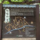 부림중기 이미지
