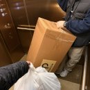 하나비젼 | 고터 크리스마스 마켓 플러비젼 피운 트리추천 180cm 내돈내산 트리 구매후기 지네전구 3000구 감는법