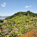 동문천로 이미지