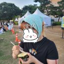 킨더뮤직 | 2025 서울 파크 뮤직 페스티벌 솔직 후기