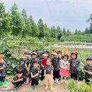 별하농장 이미지