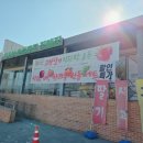 생생팜 대가야로컬푸드 직매장 | 상큼함이 가득! 신선한 딸기 득템하는 법