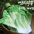 비 오는 날에도 설렘 가득! 로맨틱 감성 우산