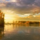 홍도밥상민박 이미지