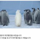 행운피씨방 이미지