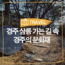 동천동 972-2 하천 인근 화장실 | [경주 여행]경주 삼릉 가는 길에서 만날 수 있는 경주의 문화재 :: 경주 가볼만한곳, 월정교, 천관사지...