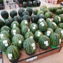 옐로우시티 장성로컬푸드직매장 | [시장]광주광역시 오룡동 옐로우시티장성로컬푸드직매장