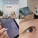 김포풍무동물약국 | 김포속눈썹 속눈썹펌 후기 키아라 풍무