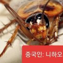 호주 뉴스 : "중국은 공산당 선전을 위해 유튜버들에게 돈을 준다." 이미지