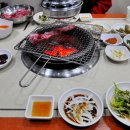백조갈비