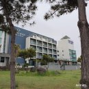 제주도 2박3일 여행코스#7 : 곽지해변앞 오션뷰 가성비 호텔추천, 제주 마레보비치 호텔 숙박, 조식 후기