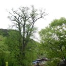 산야초세상