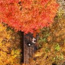 태평카서비스 이미지