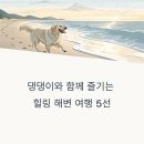 안산해맞이 | 반려견과 함께 가기 좋은 국내 해변 여행지 5곳