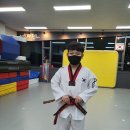 새봄태권도 이미지