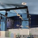 서울전기조명 이미지