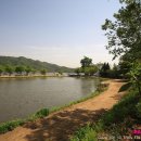 나룻터가는길 이미지