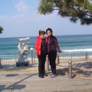 정동진역 이미지