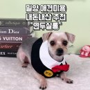 연두살롱 이미지