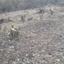 전호농장 이미지