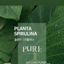 디톡스케어