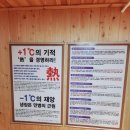 즐거운점핑