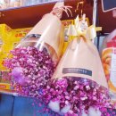 꽃집아재비 이미지