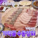 송파구 [수동상회] 가락시장 // 수산시장 잠실 횟집 내돈내산 방문 후기