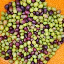 신가농장 이미지