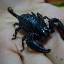 뉴페이스 이미지