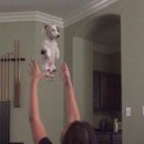 공원칼국수 이미지