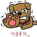 엠씨렌트카 이미지