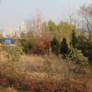 서울세차장&타이어 이미지