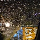 나무뜨락 - 군산시 백토로 22 | 파주 심학산 한정식 추천 <뜨락> 다녀온 후기