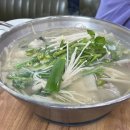 제주복어 | 🐡 제주 노형동 맛집 _ 으뜸복어 복어전골 후기