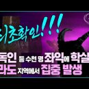 Jesus Wave TV '최초확인, 기독교인 1700명 학살' 이미지