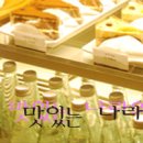 참숯생막창고을 Daum카페