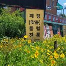 피톤골프 이미지