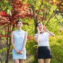 팜트리앤코 이미지