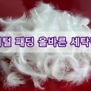 제니스 세탁 이미지