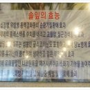 장어셀프타운(고읍점) 이미지