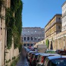 [이탈리아] - 로마 : 콜로세움(Colosseum)+포로 로마노(Foro Romano)/팔라티노 언덕(Palatine Hill...