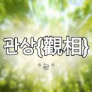 도화눈