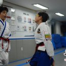 용인대 정심태권도 이미지