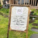 [제주]애월 와인샵 와알못,와인덕후 다 만족할 삐꼴라상점 선물사러도 추천🍷