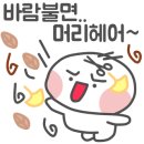 수미 미용실 이미지