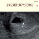 유델라 이미지