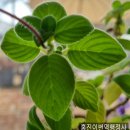 서울공인번역행정사사무소 이미지