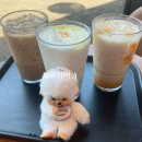 별푸드 | 스타벅스 새로운 별 리워드 푸드 구매 후기, 여름 신메뉴 망고라떼, 피치 요거트 블렌디드 후기